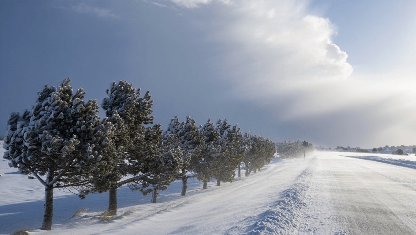 El portavoz de la AEMET confirma lo que llega después de la nieve y da miedo: «Viento huracanado»