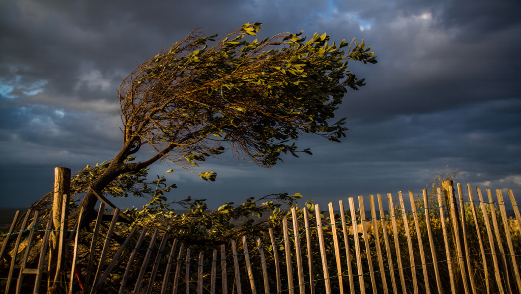 Lo que llega a Murcia no es normal y la AEMET activa la alerta: vientos huracanados a partir de ésta hora