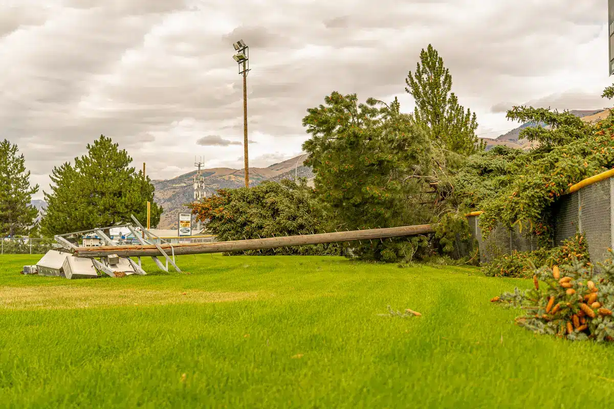 Líneas eléctricas dañadas por ramas caídas durante tormenta de viento
