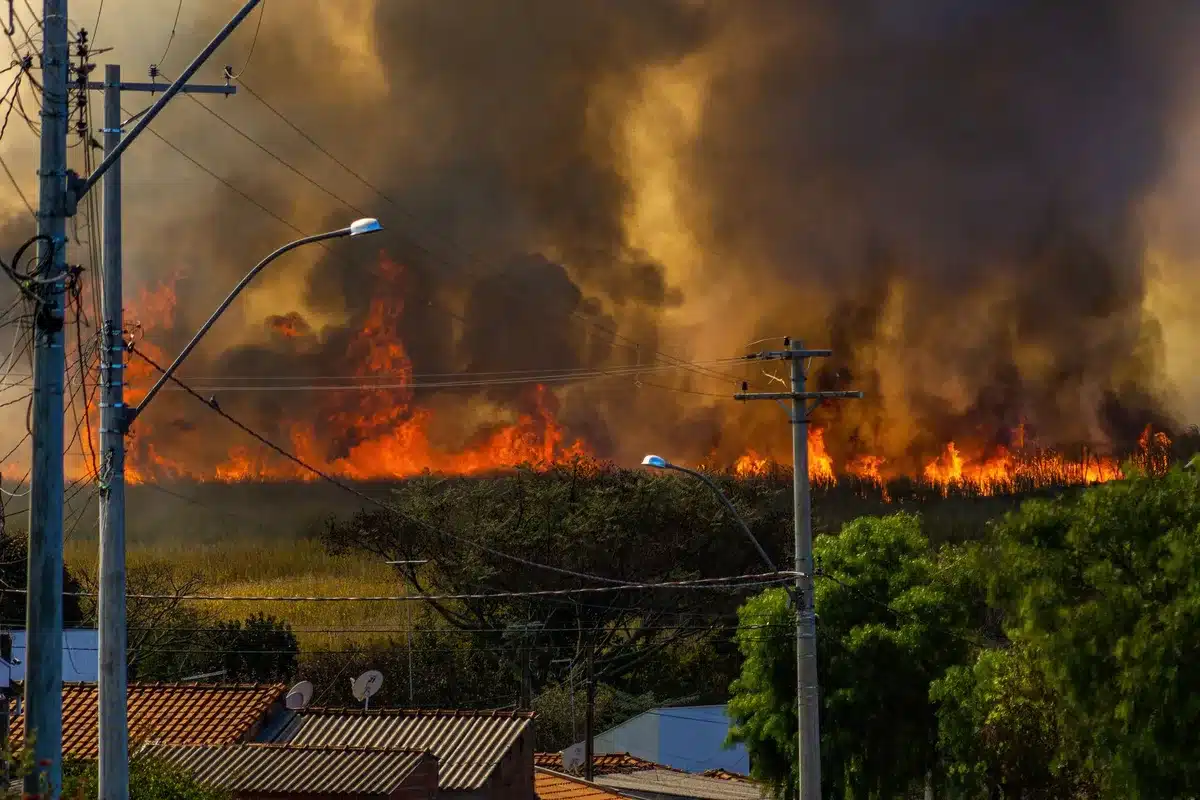 Paisaje forestal seco con humo de incendio en el horizonte bajo sol intenso
