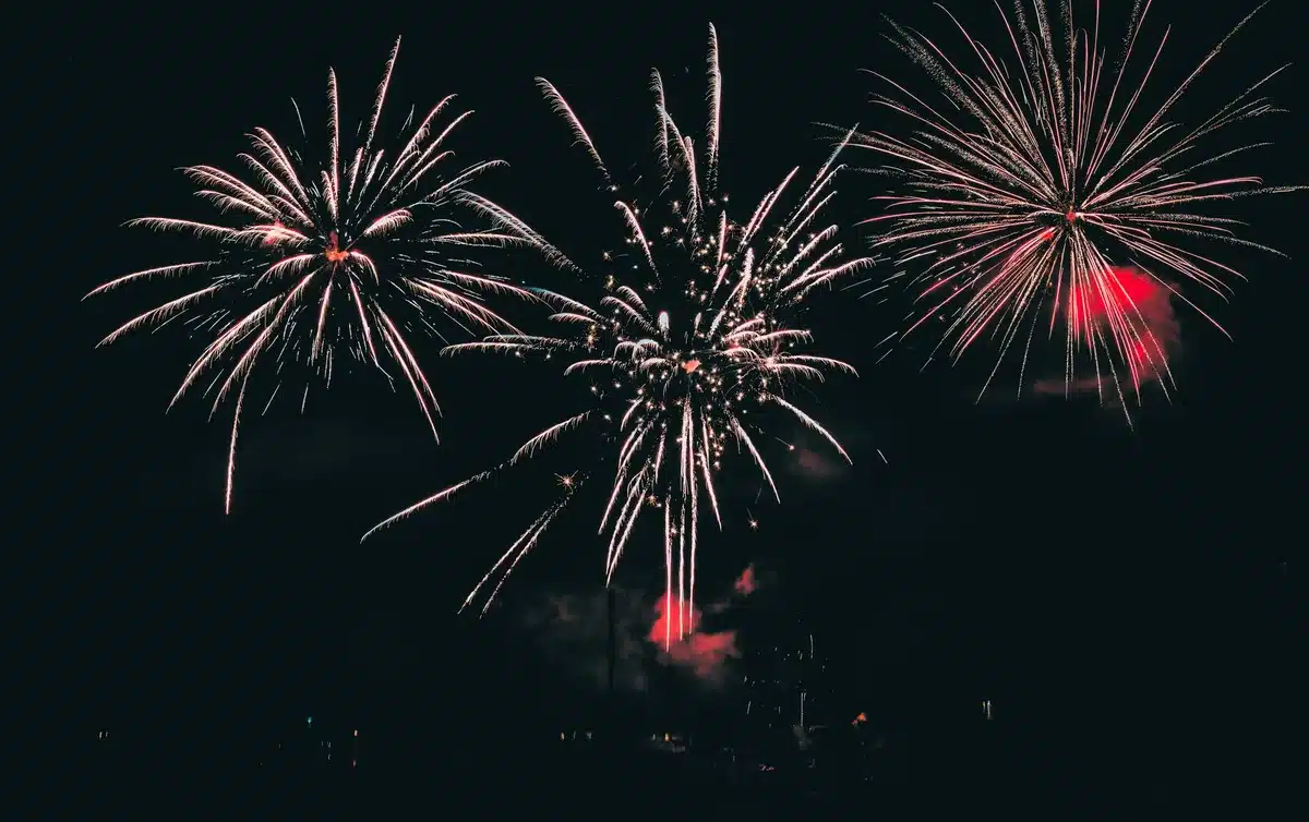 Fuegos artificiales iluminando el cielo nocturno durante las festividades, con multitud de espectadores celebrando.