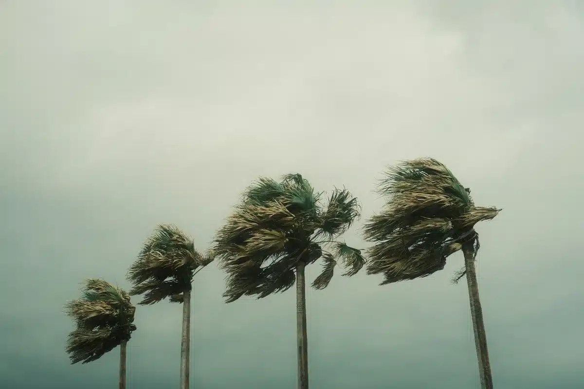 Rachas de viento fuerte en un paisaje afectado por condiciones meteorológicas adversas