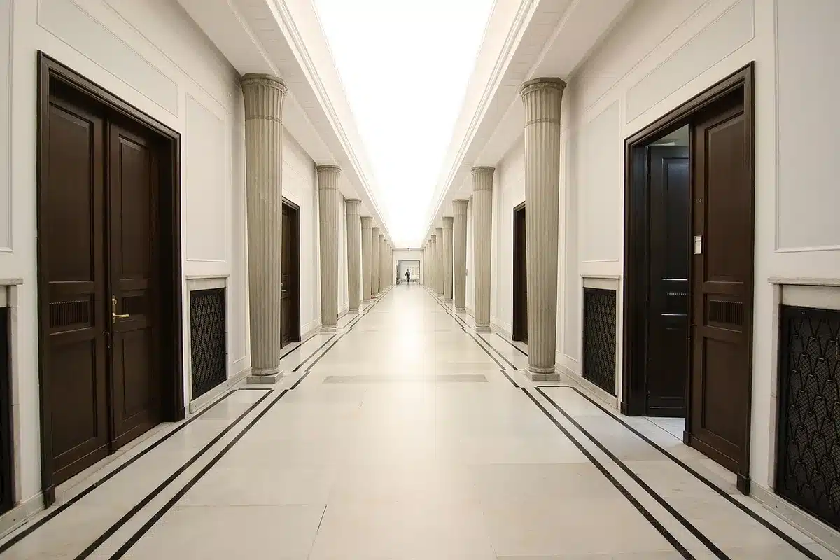 Sala de proyección con filas y una luz tenue antes de un pase largo