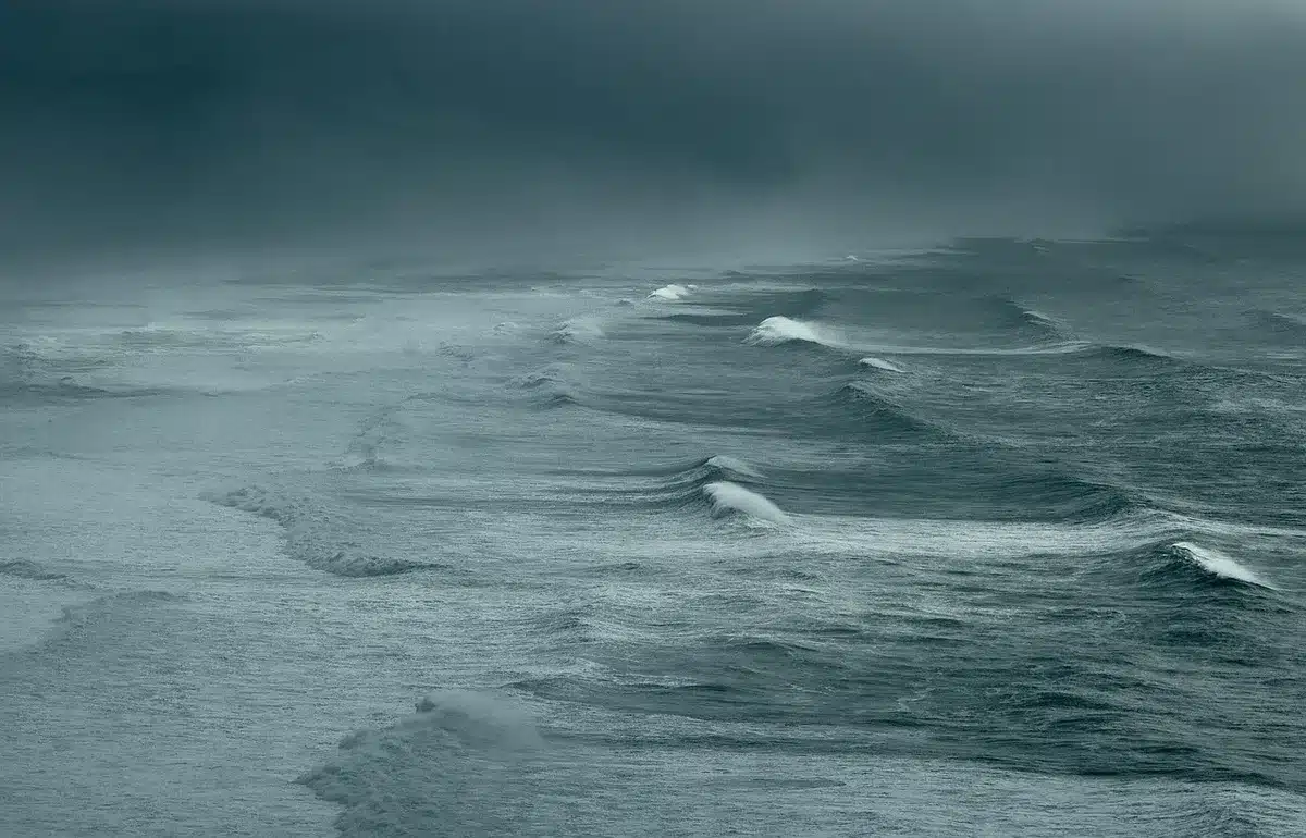 Costa ventosa con nubes en movimiento y árboles inclinados por el viento