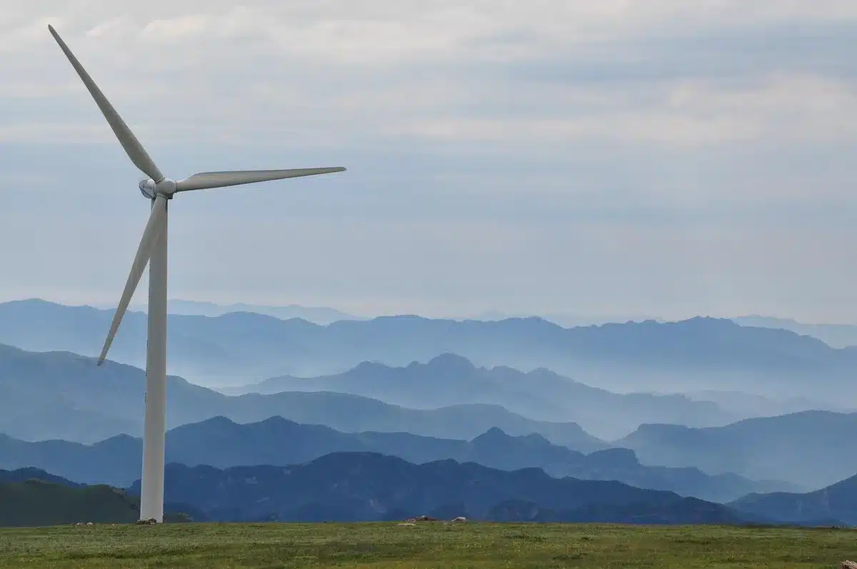 Ramas y vegetación dobladas por rachas de viento fuertes en zona montañosa