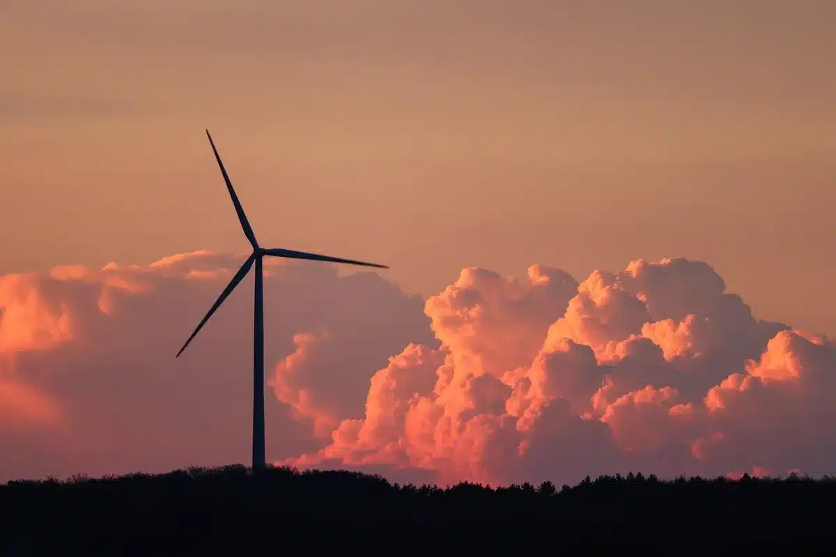 Gráficos y datos que ilustran cifras económicas y consumo eléctrico